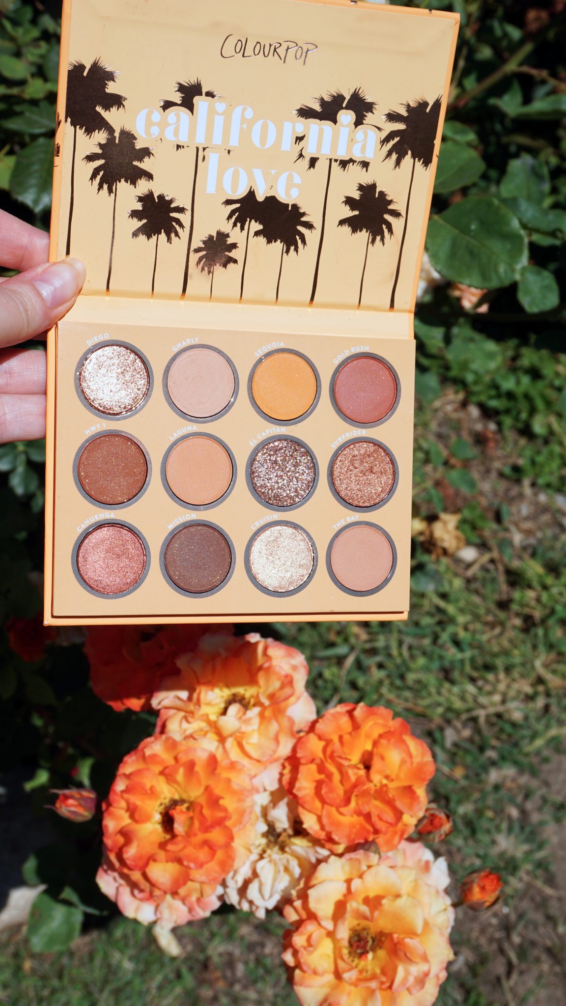 Colourpop California Love Collection