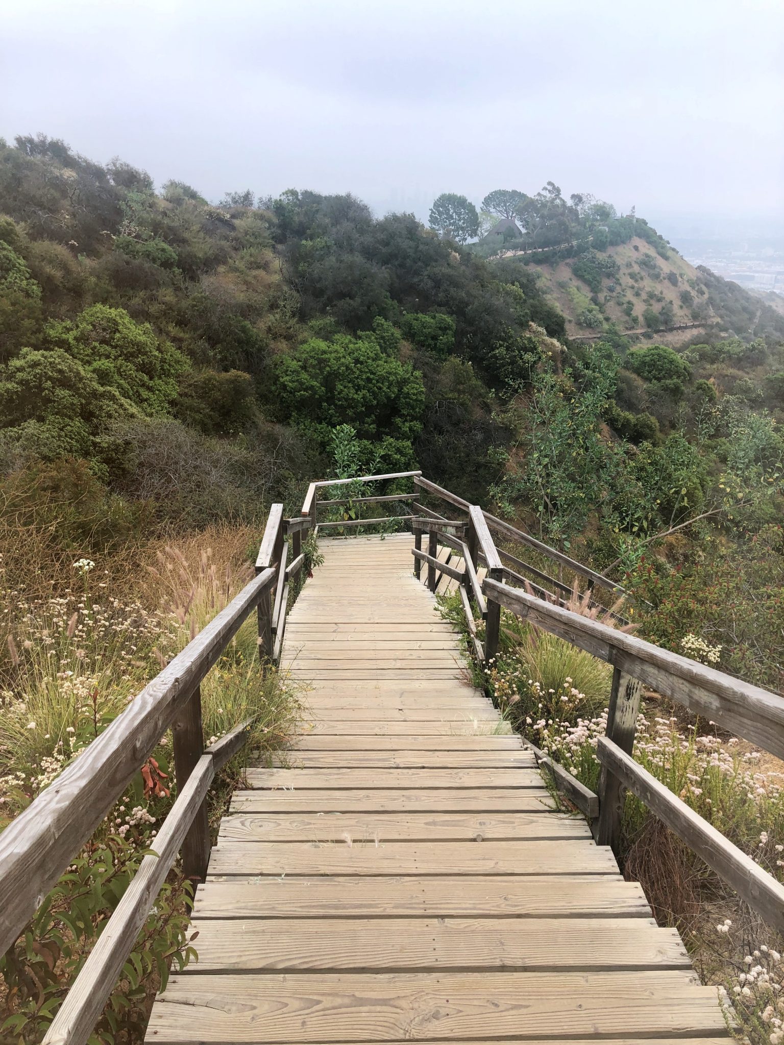 Runyon Canyon Park