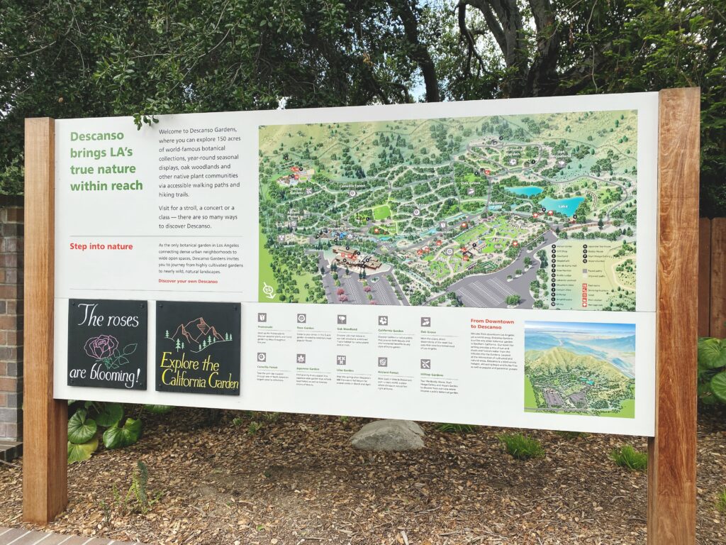 Earth Day Native Blooms Display - Descanso Gardens